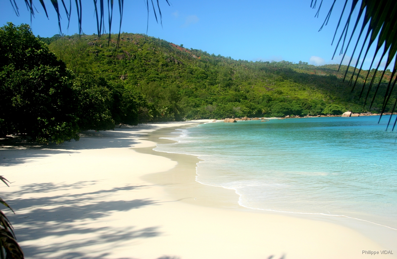 IMG_2242_rf_PRASLIN_ANSE LAZIO.jpg